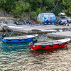 Okiboats Baracuda 